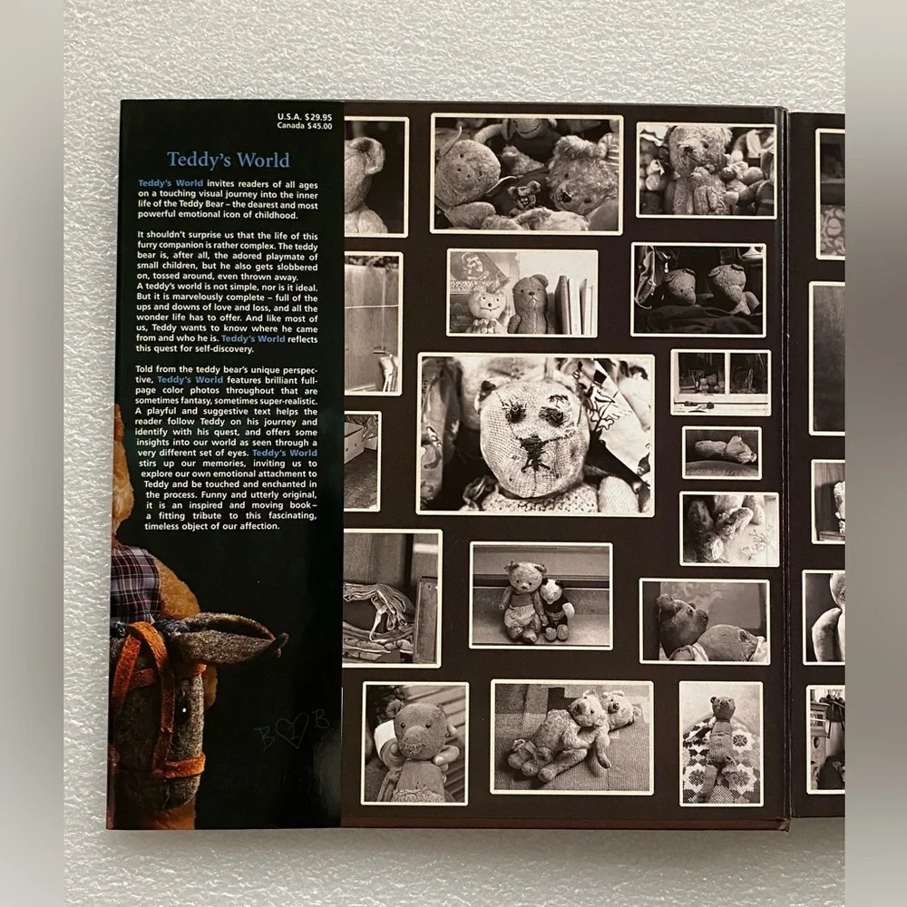 Teddy's World Large Book by Joost Elffers and Mirja de Vries (2002 Hardcover)